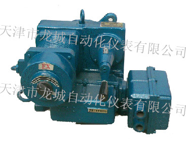 DKJ-310BYMһw늄ӈ(zh)ЙC(gu)